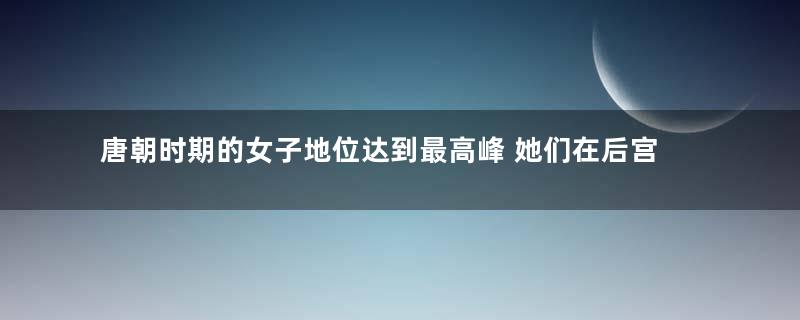 唐朝时期的女子地位达到最高峰 她们在后宫中的品级如何